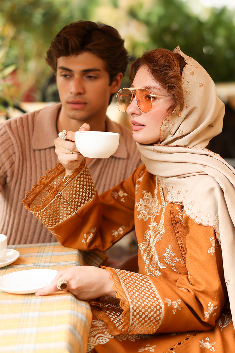 Cappuccino EMBROIDERED DHANAK UNSTITCHED AS_38